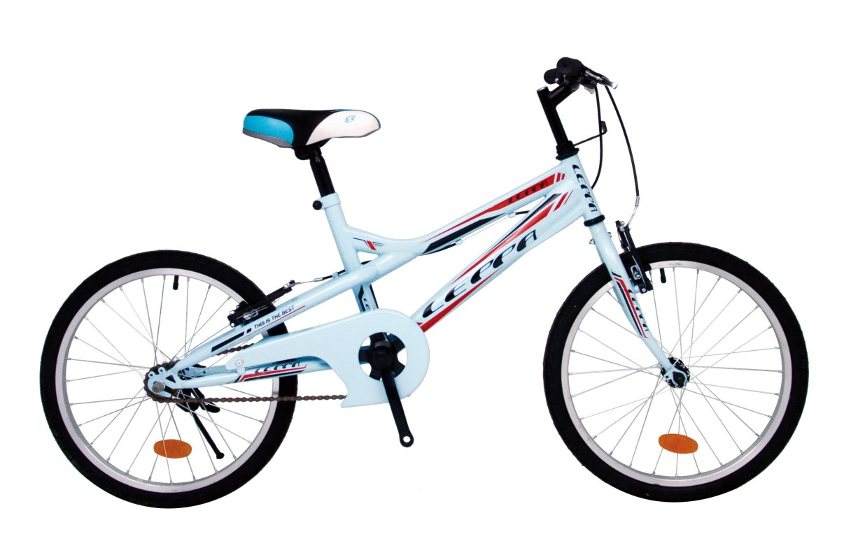 20吋 越野登山車 水藍