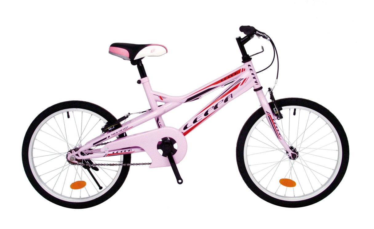 20吋 越野登山車 粉