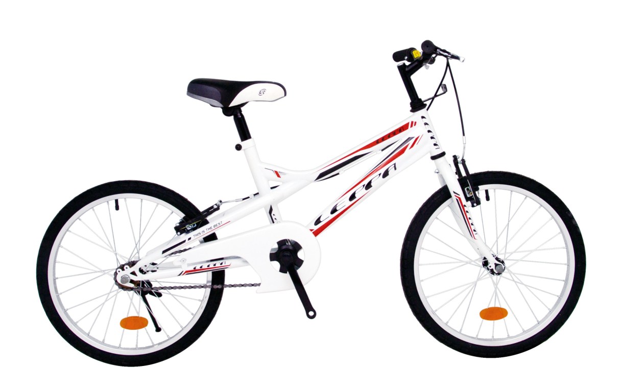 20吋 越野登山車 白