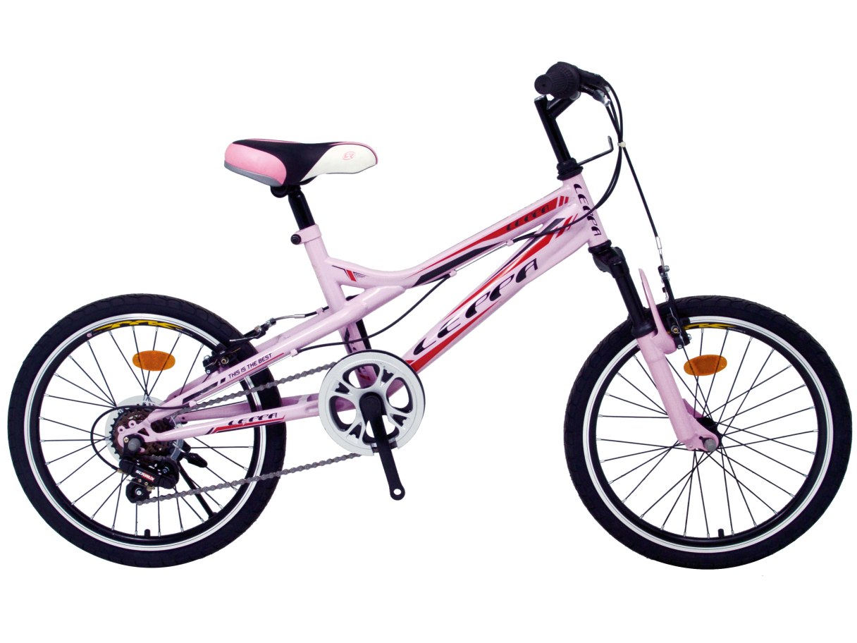 20吋 越野登山車 粉