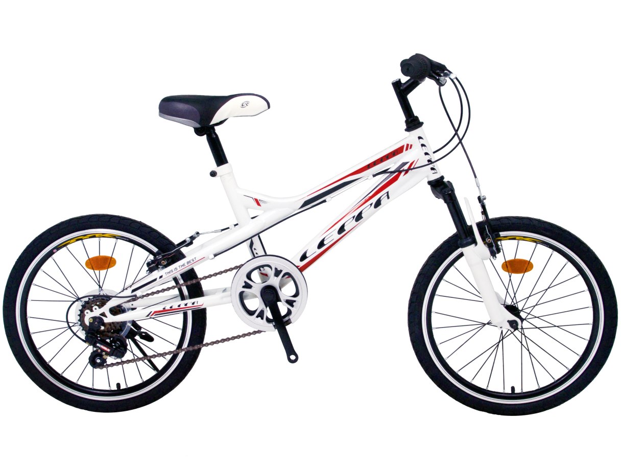 20吋 越野登山車 白